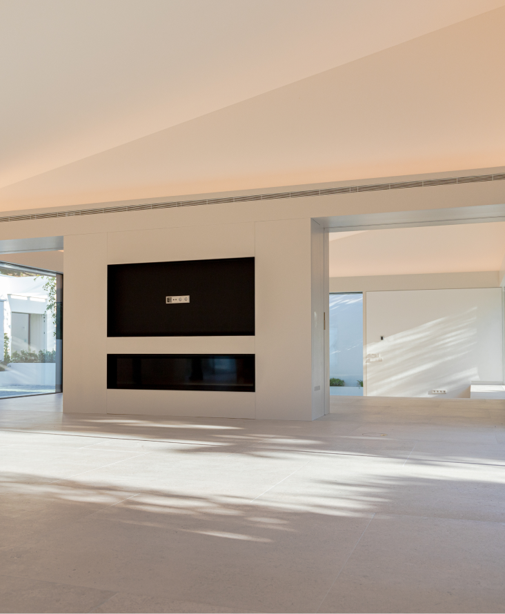 Promoción delegada